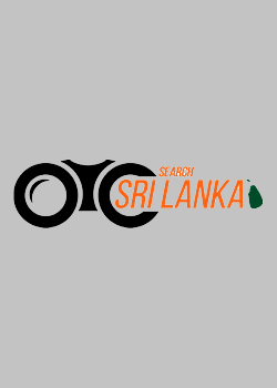 The Sinhala and Tamil New Year
