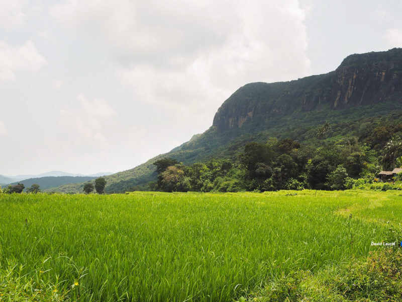 Manigala