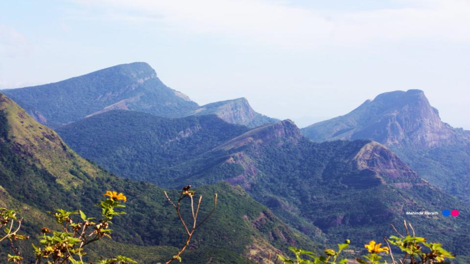 Knuckles Range
