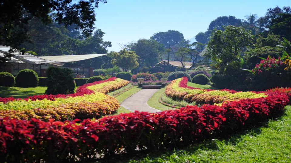 Peradeniya Botanical Garden