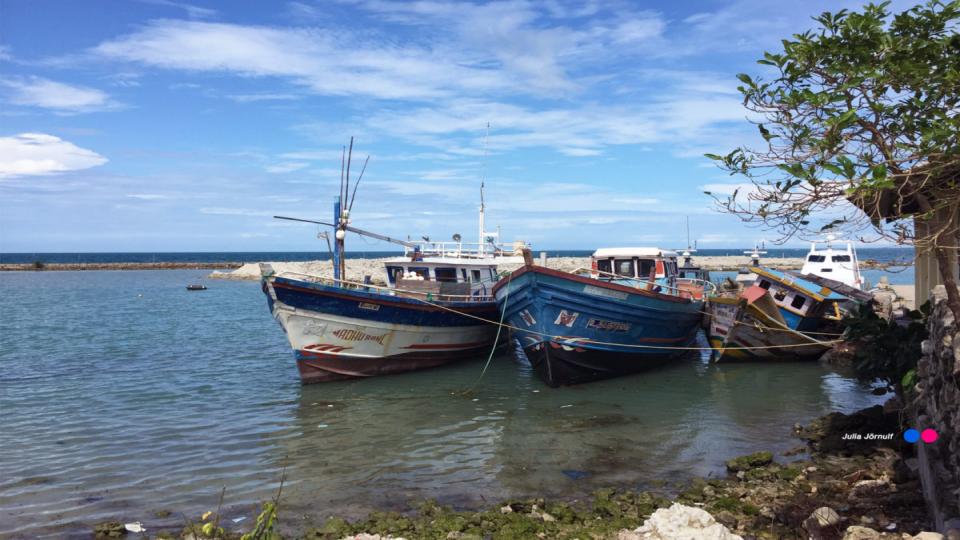 Delft Island