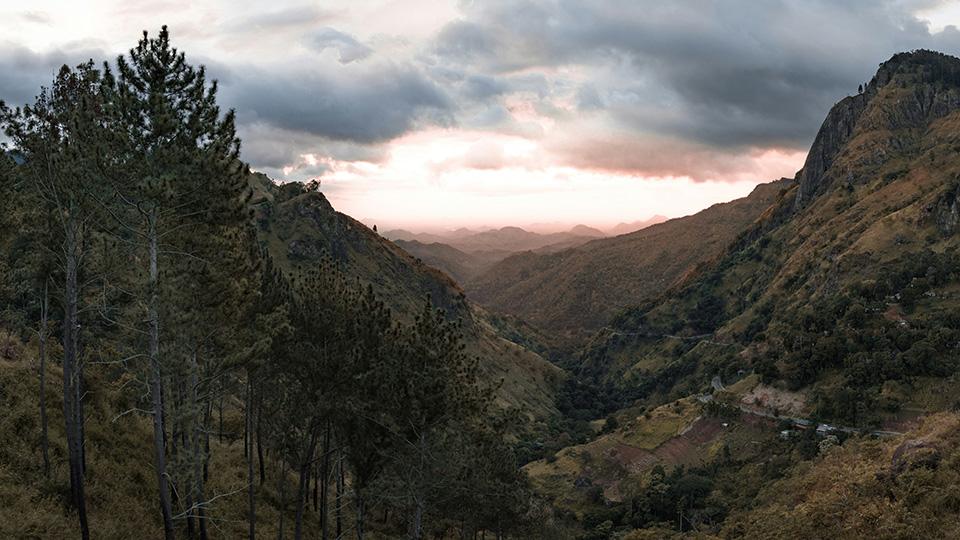 Nature
