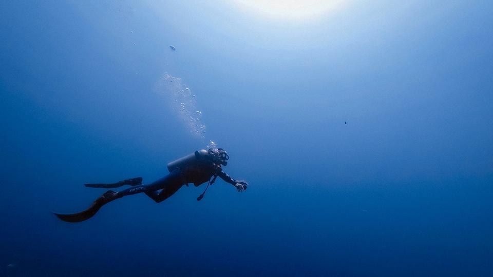 Sri Lanka Diving & Snorkeling