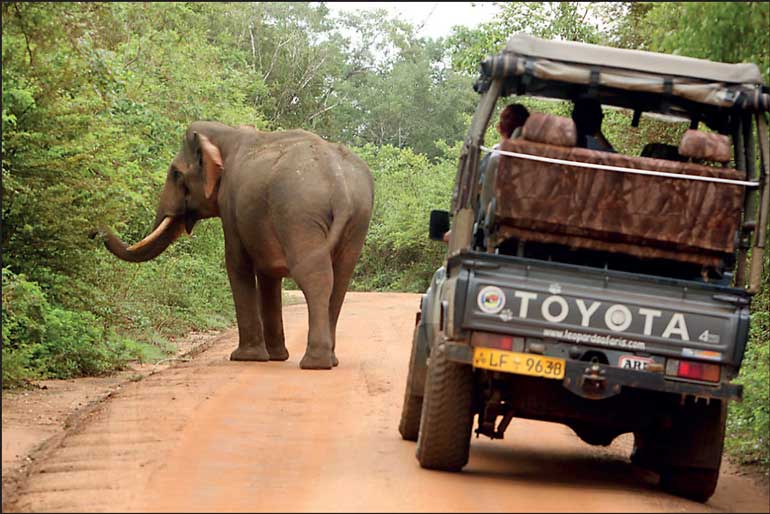 Sri Lanka Tourism enables sustainable development gallery image