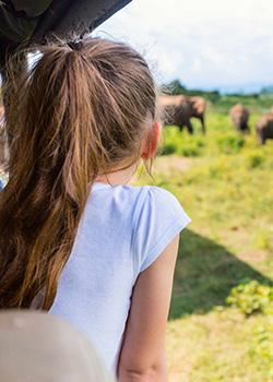 Sri Lanka to offer livestreams from wildlife parks