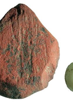 Ancient tools show how humans adapted to rainforests